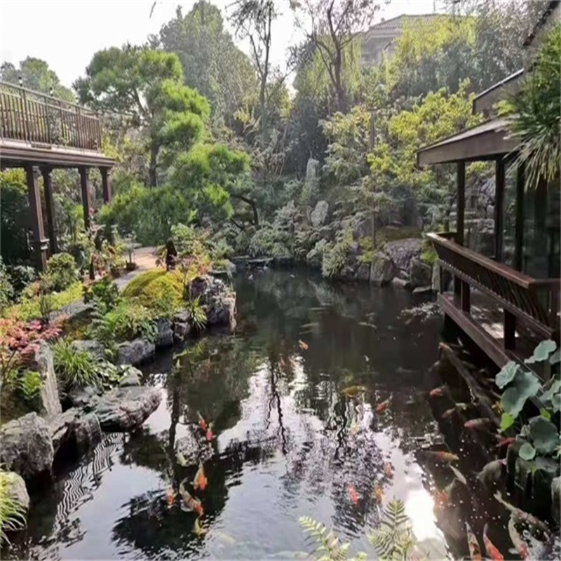长坡镇假山植物小鱼池